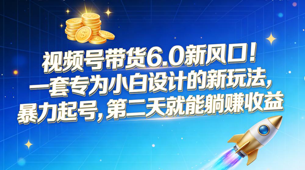 视频号带货 6.0 新风口！一套专为小白设计的新玩法，暴力起号，第二天就能躺赚收益
