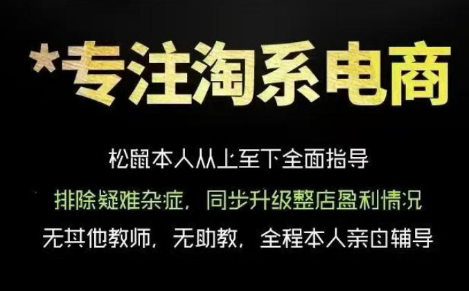 松鼠会电商VIP课程，从基础布局到高阶优化，助你掌握淘宝运营逻辑，提升店铺流量与转化(更新0703)