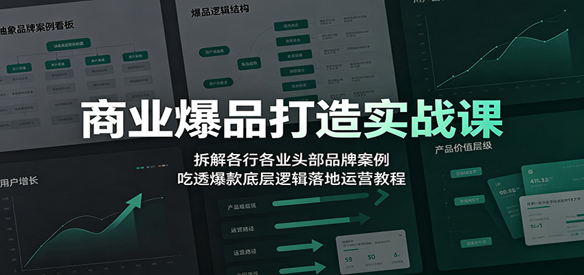 商业爆品打造实战课：拆解各行各业头部品牌案例，吃透爆款底层逻辑落地运营教程